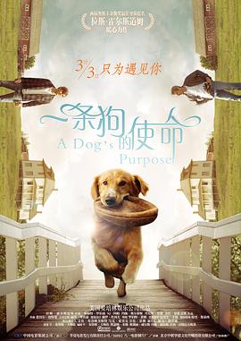 国产一卡2卡3卡四卡国色天香