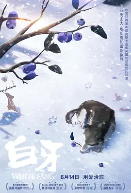 成人深夜视频