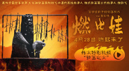 午夜看黄神器
