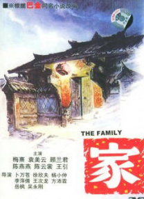 天天精品视频