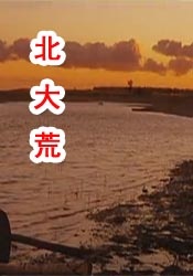 日韩欧美成