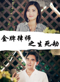 久久久午夜精品理论片