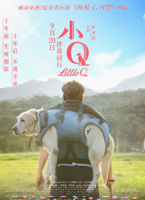 成人免费专区