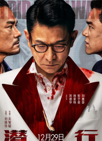 燃情仕途:张慧张莉